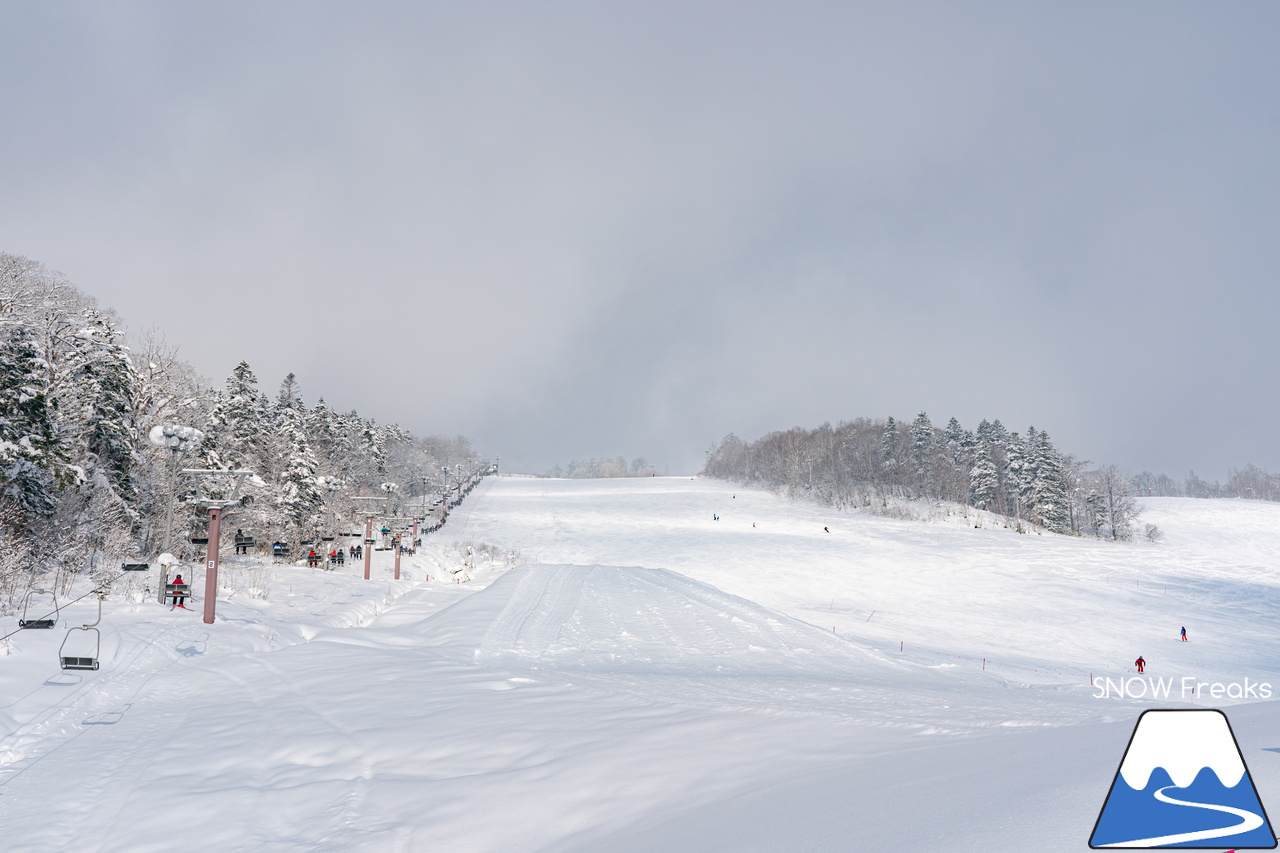 名寄ピヤシリスキー場｜名寄市のキャッチフレーズは『雪質日本一』。暖気の日こそ、その実力を発揮します！